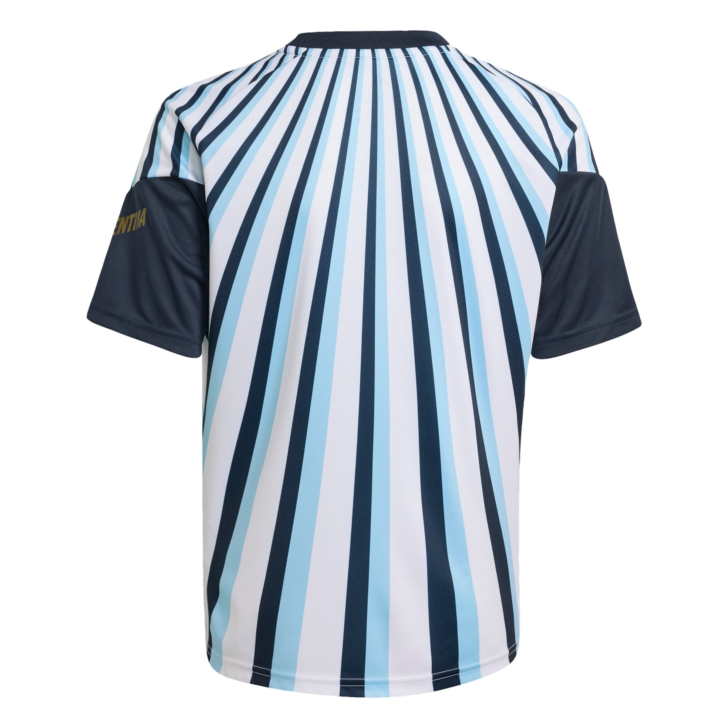 ADIDAS PERFORMANCE - Camiseta funcional 'Argentinien 26 Pre-Match' en azul