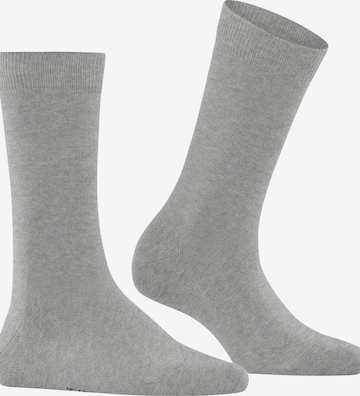 FALKE Socks 'Family' in Grey: front