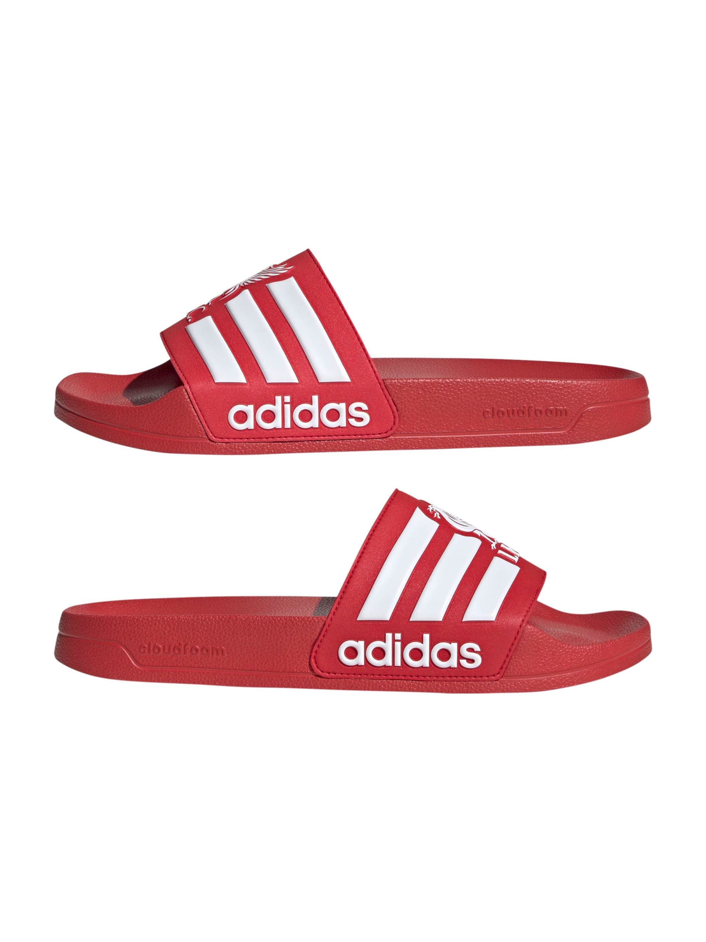 ADIDAS SPORTSWEAR Beach & swim shoe 'ADILETTE SHOWER Liverpool' in Red
