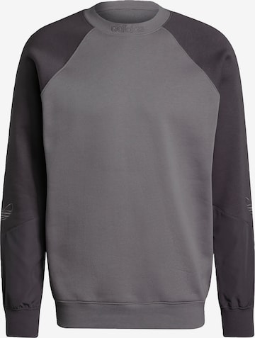 pelēks ADIDAS ORIGINALS Sportisks džemperis: no priekšpuses