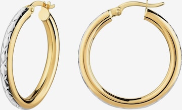 Boucles d'oreilles Fascination by Ellen K. en or : devant