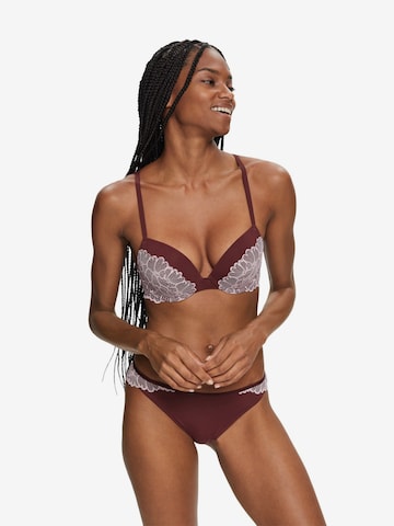 Push-up Soutien-gorge ESPRIT en marron : devant