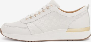 Sneaker bassa di Kazar in bianco: frontale