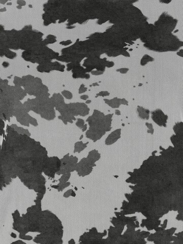 Sublevel Shirt in Black