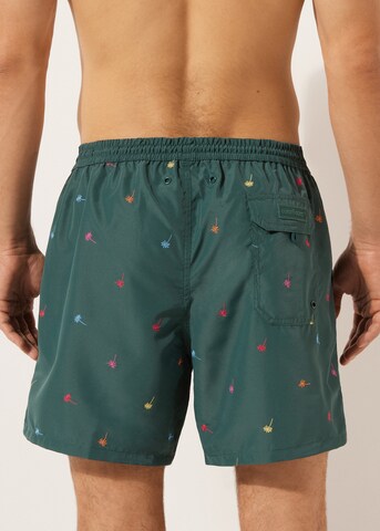 CALZEDONIA Regular Board Shorts in Green