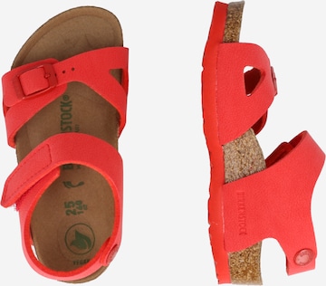 BIRKENSTOCK Ανοικτά παπούτσια 'Colorado' σε κόκκινο