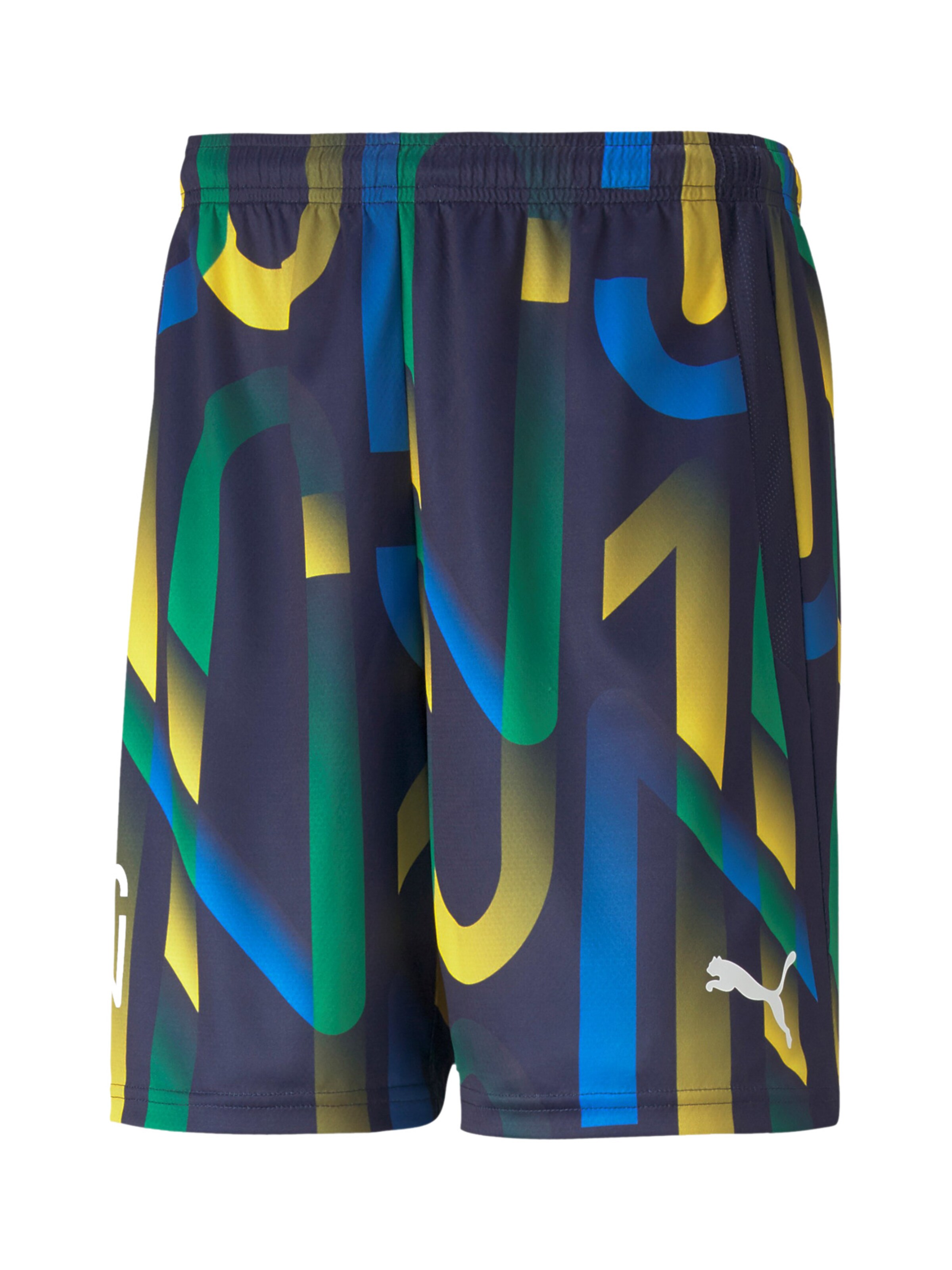 PUMA Regular Shorts in Blau: Vorderseite