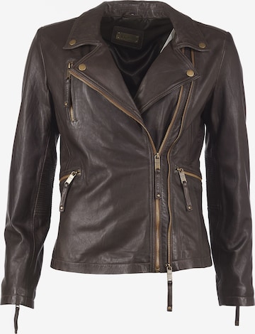 JCC Jacke in Braun: Vorderseite