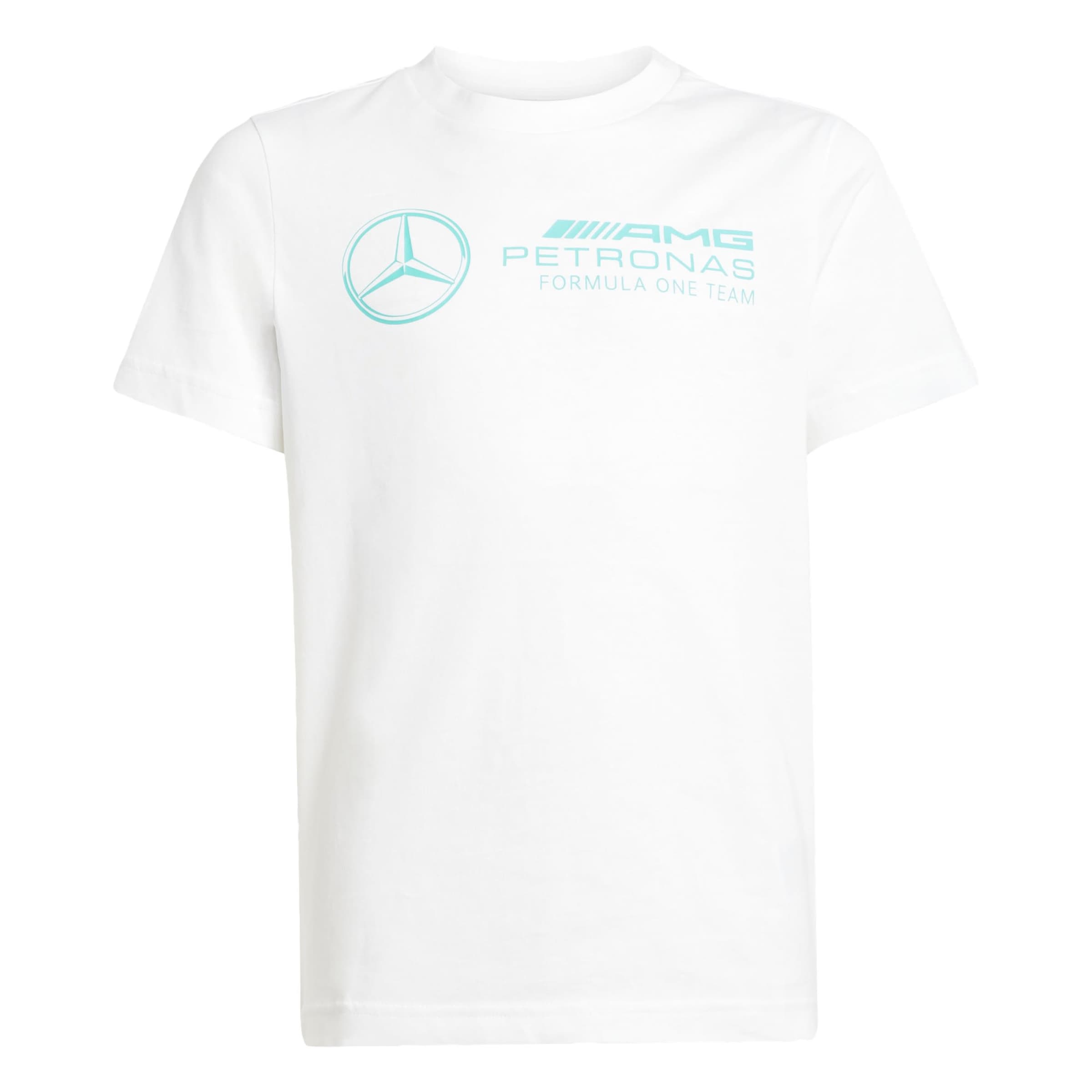 ADIDAS PERFORMANCE - Camiseta funcional 'Mercedes - AMG Petronas Formula One Team' en blanco: frente