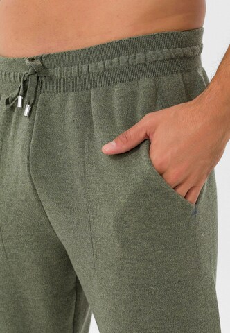 Jimmy Sanders Tapered Hose in Grün