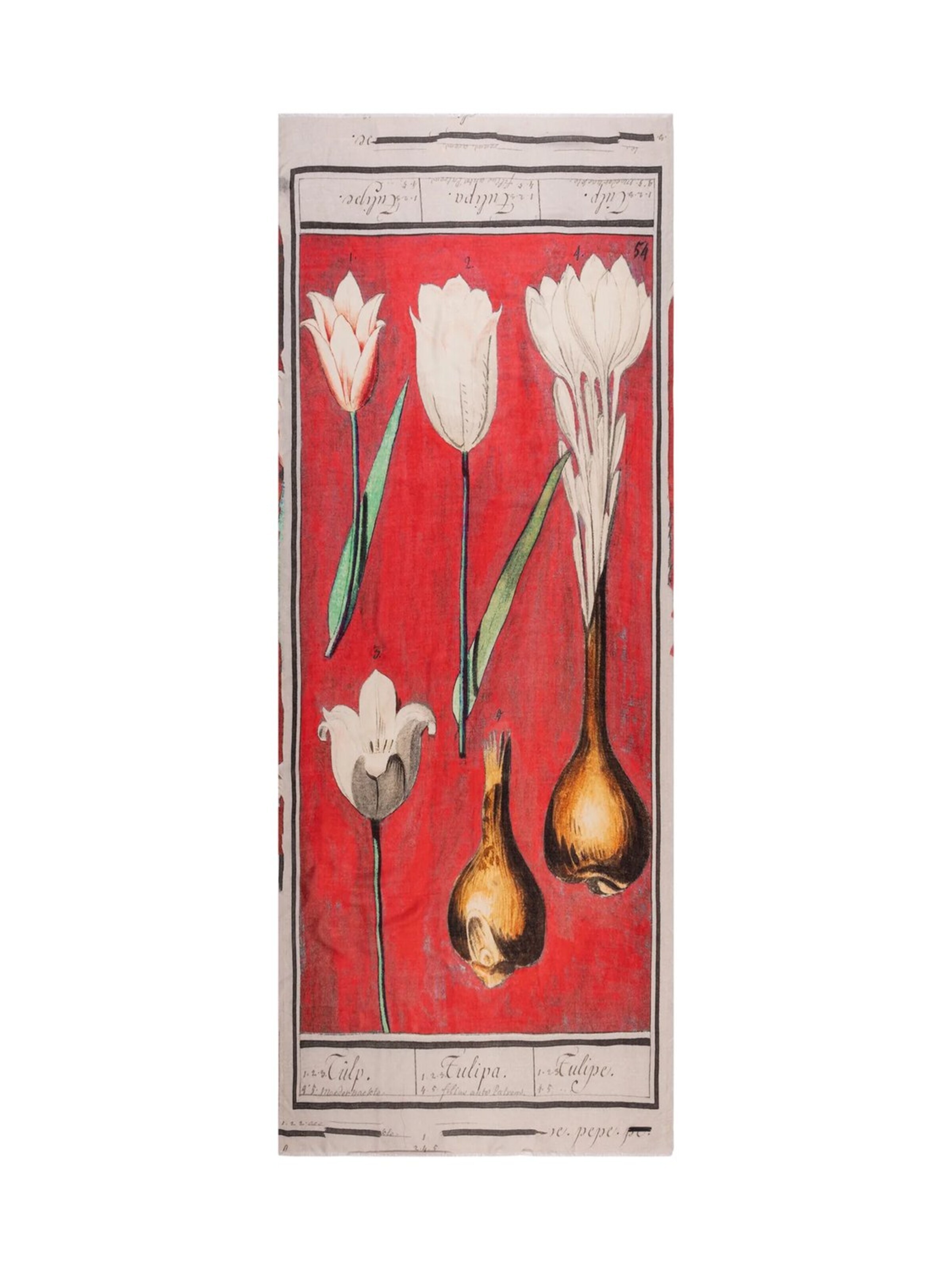 Écharpe SILK & CASHMERE en rouge : devant