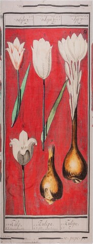 Écharpe SILK & CASHMERE en rouge : devant