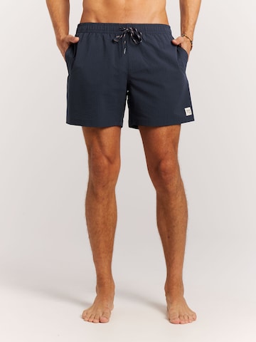 PROTEST Swimming shorts 'PRTAgden' in Blue