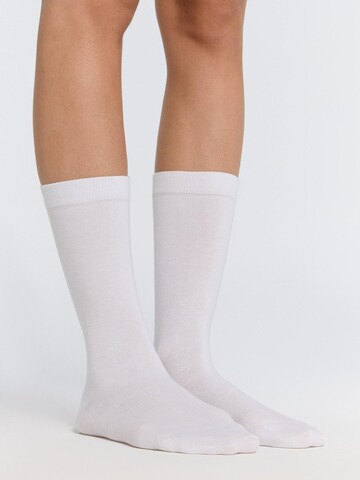 Albero Natur Socks in White