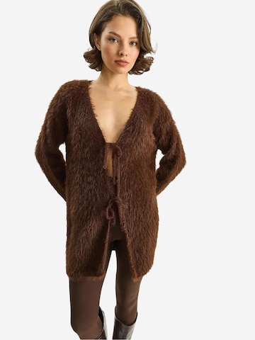 Bianco Lucci Gebreid vest in Bruin: voorkant