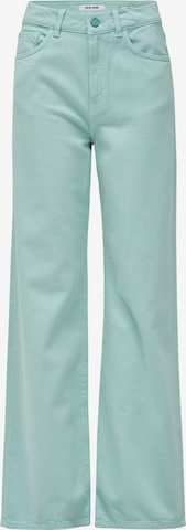 Salsa Jeans Jeans in Grün: Vorderseite