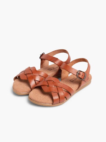 Sandales Pisamonas en marron