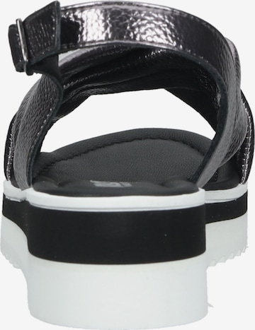 IGI&CO Sandalen met riem in Grijs