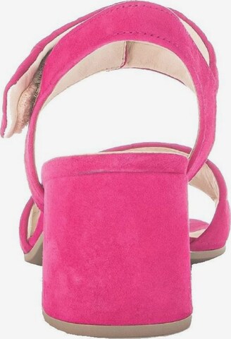 Sandale de la GABOR pe roz