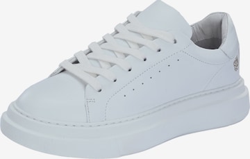 Apple of Eden Sneakers laag ' SAMIR ' in Wit: voorkant