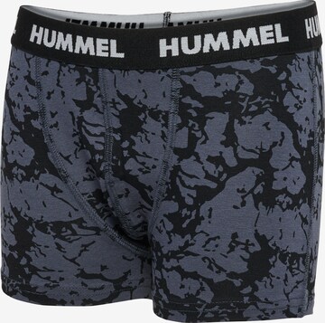 Hummel Underpants 'Nolan' in Blue