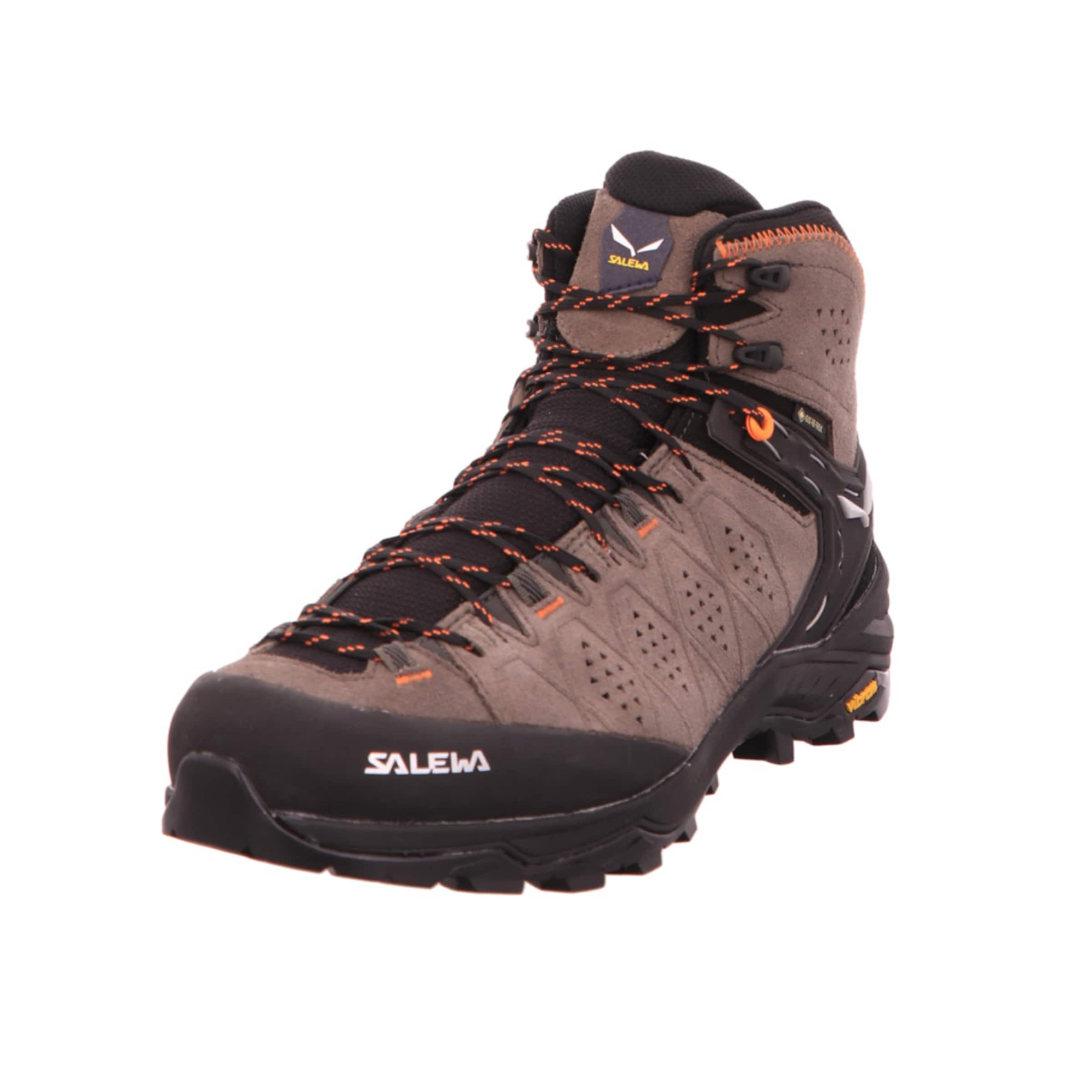 SALEWA Boots 'Alp Trainer 2  GTX' in Brown: front