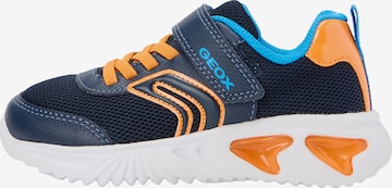 mėlyna GEOX Sportbačiai 'ASSISTER': priekis