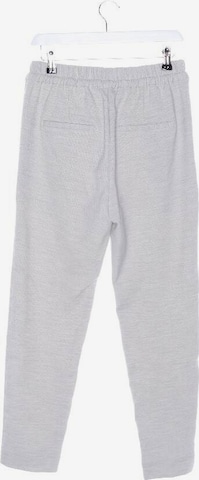 Copenhagen Pants in S in Grey