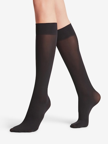 FALKE Pure Matt 50 Denier in Schwarz: Vorderseite