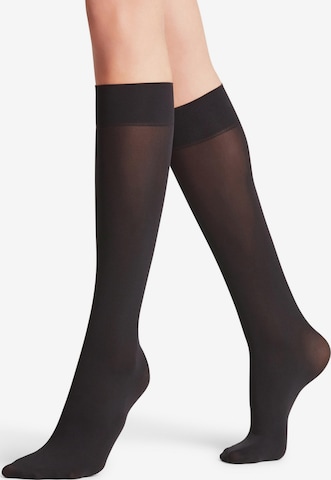 FALKE Over the Knee Socks in Black: front