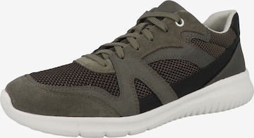 GEOX Sneakers in Green: front