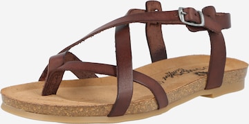 COSMOS COMFORT T-Bar Sandals in Brown: front