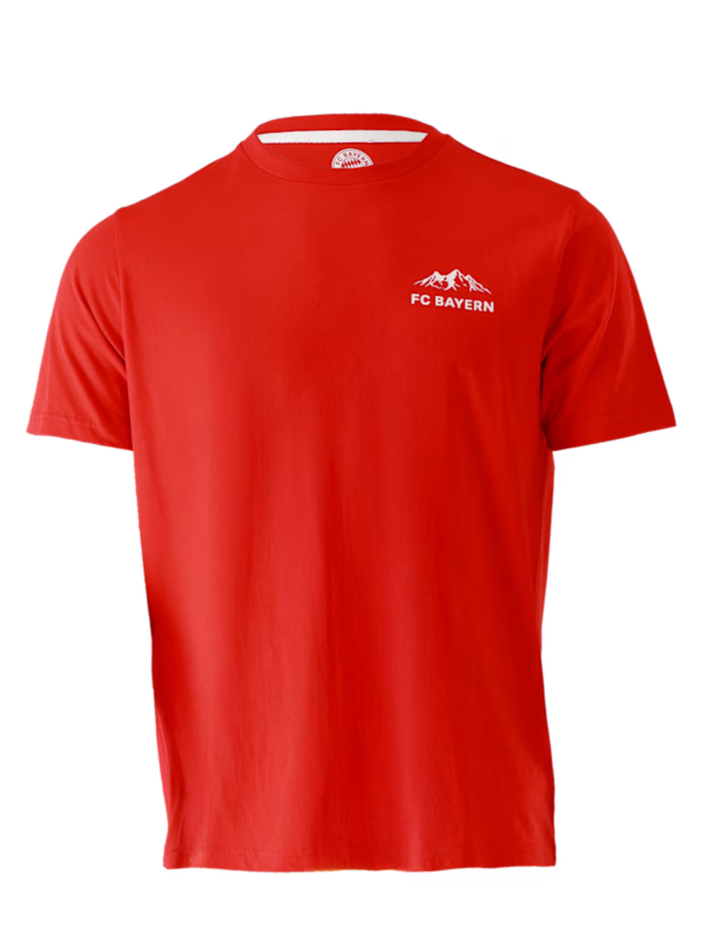 FC BAYERN MÜNCHEN T-Shirt Heimat in Rot: Vorderseite