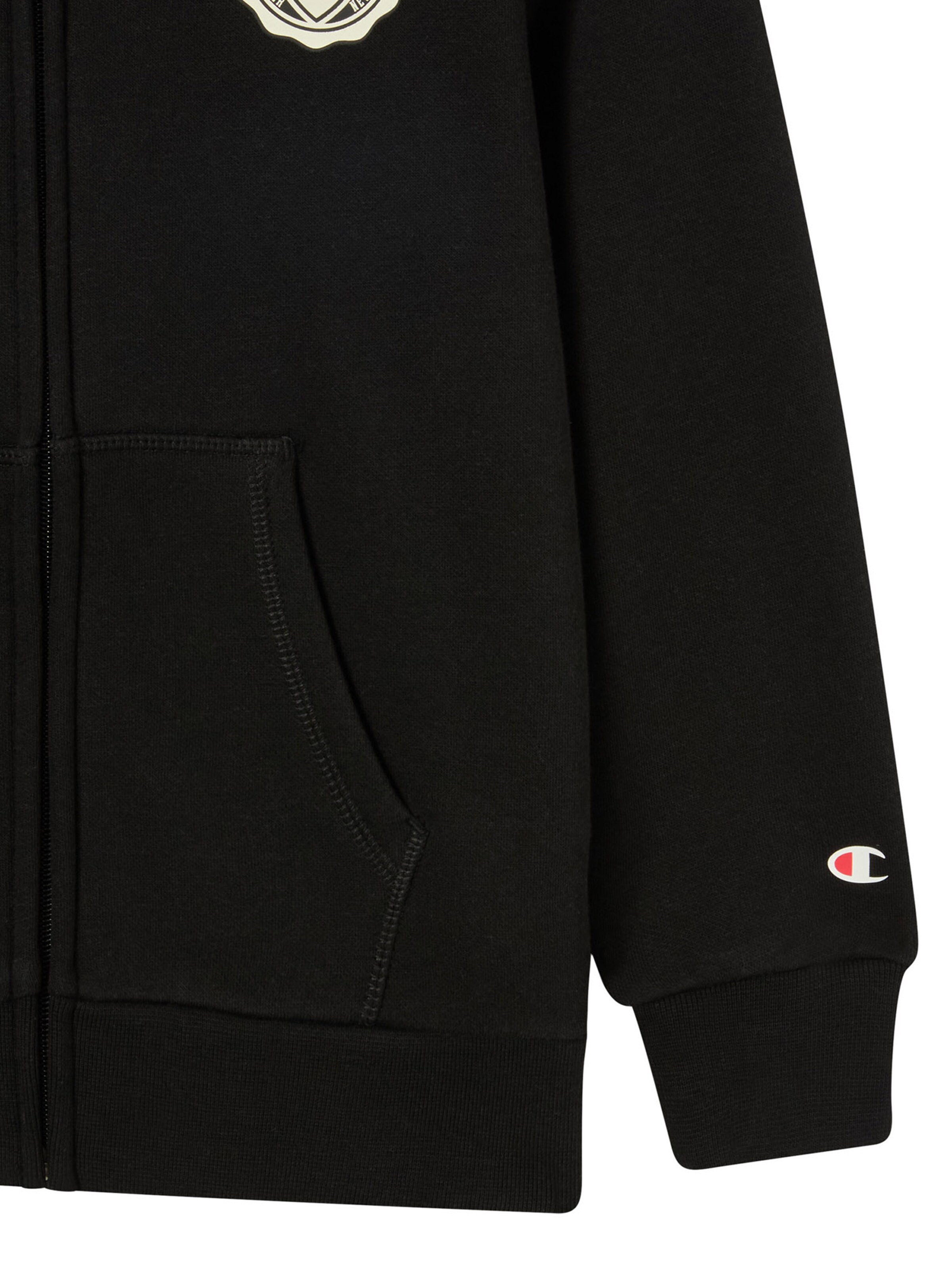 Hanorac de la Champion Authentic Athletic Apparel pe negru