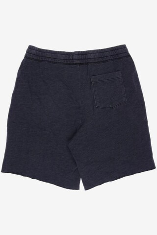 HOLLISTER Shorts in 33 in Grey
