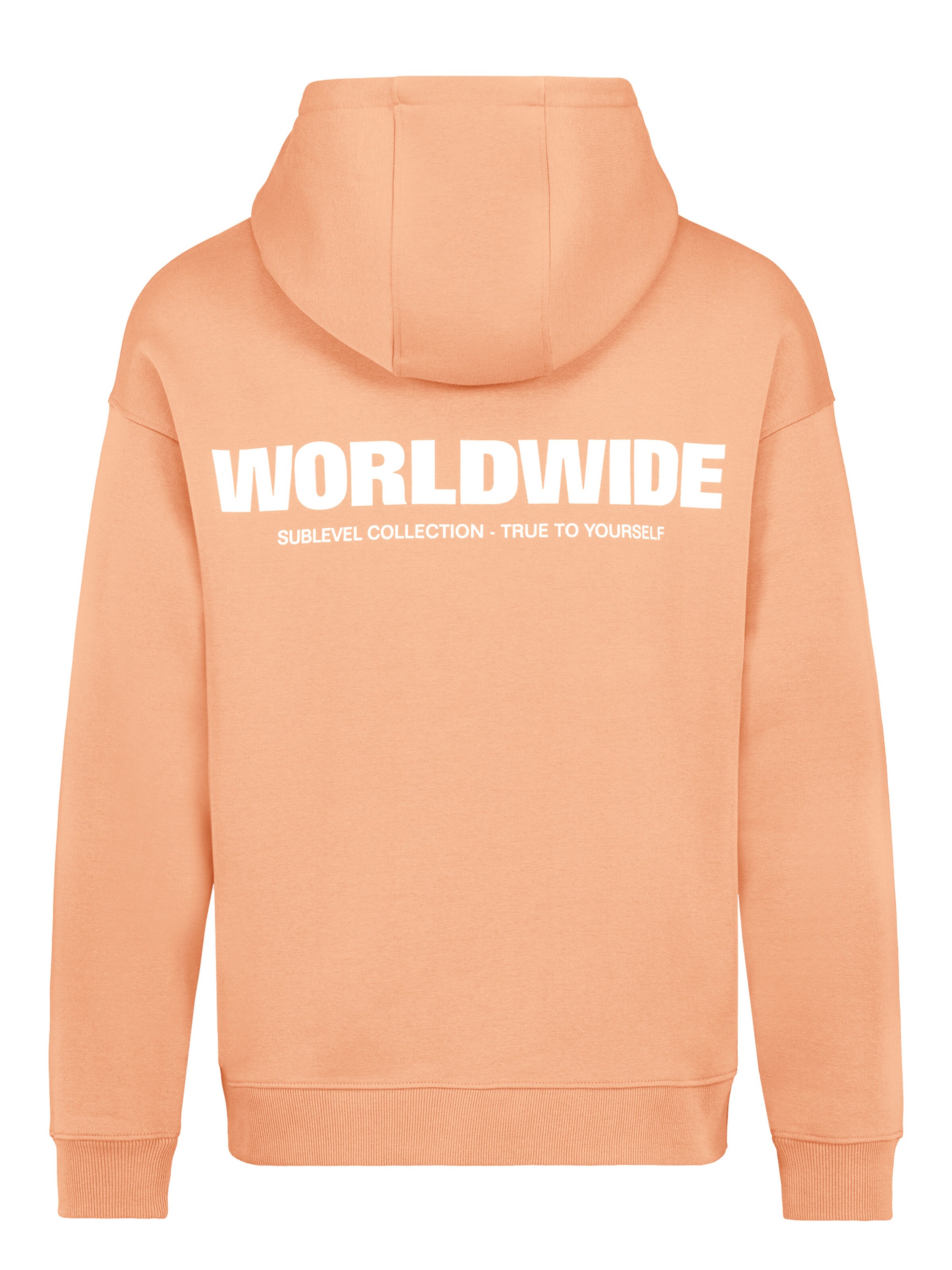 Sublevel Sweatshirt 'Worldwide' in Orange