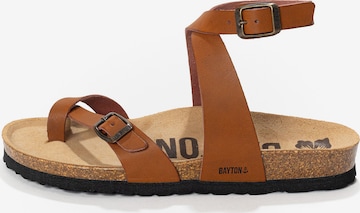 BaytonSandale 'Swan' - smeđa boja: prednji dio