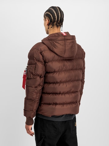 ALPHA INDUSTRIES Kurtka zimowa w kolorze brązowy: tył