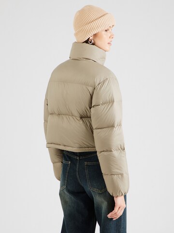 Calvin Klein Jeans Zimná bunda - Sivá