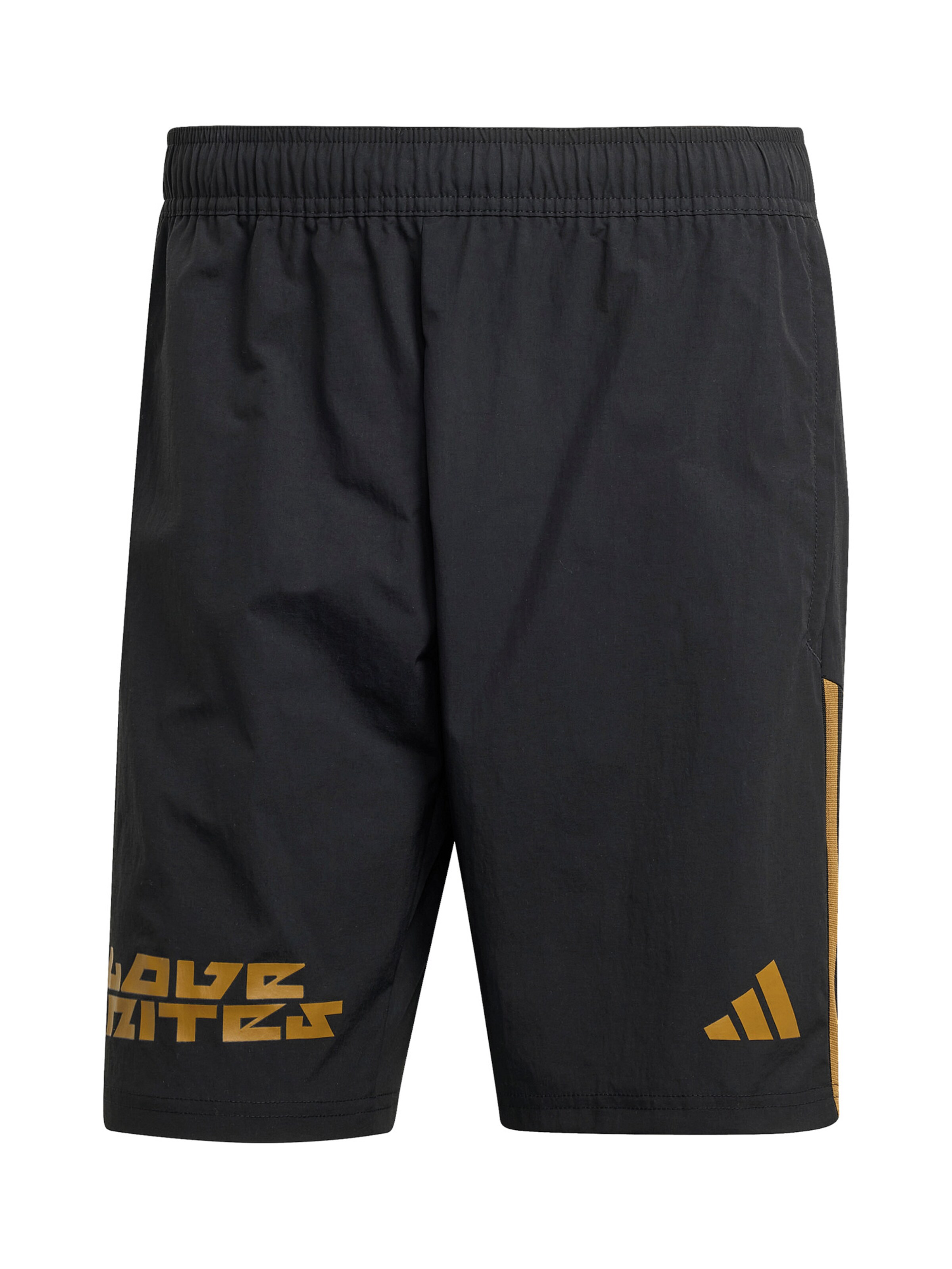 ADIDAS PERFORMANCE Regular Sportshorts 'Pride' in Schwarz: Vorderseite