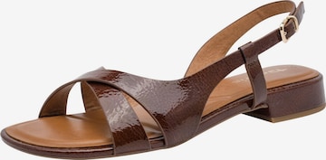 Sandales Tamaris en marron : devant