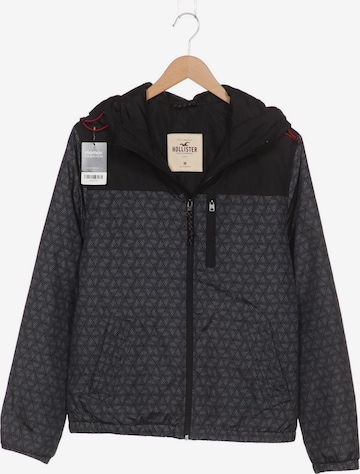 HOLLISTER Jacket & Coat in M in Grey: front