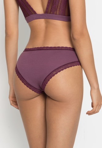 s.Oliver - Cueca em roxo