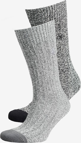 Superdry Socken in Grau: predná strana