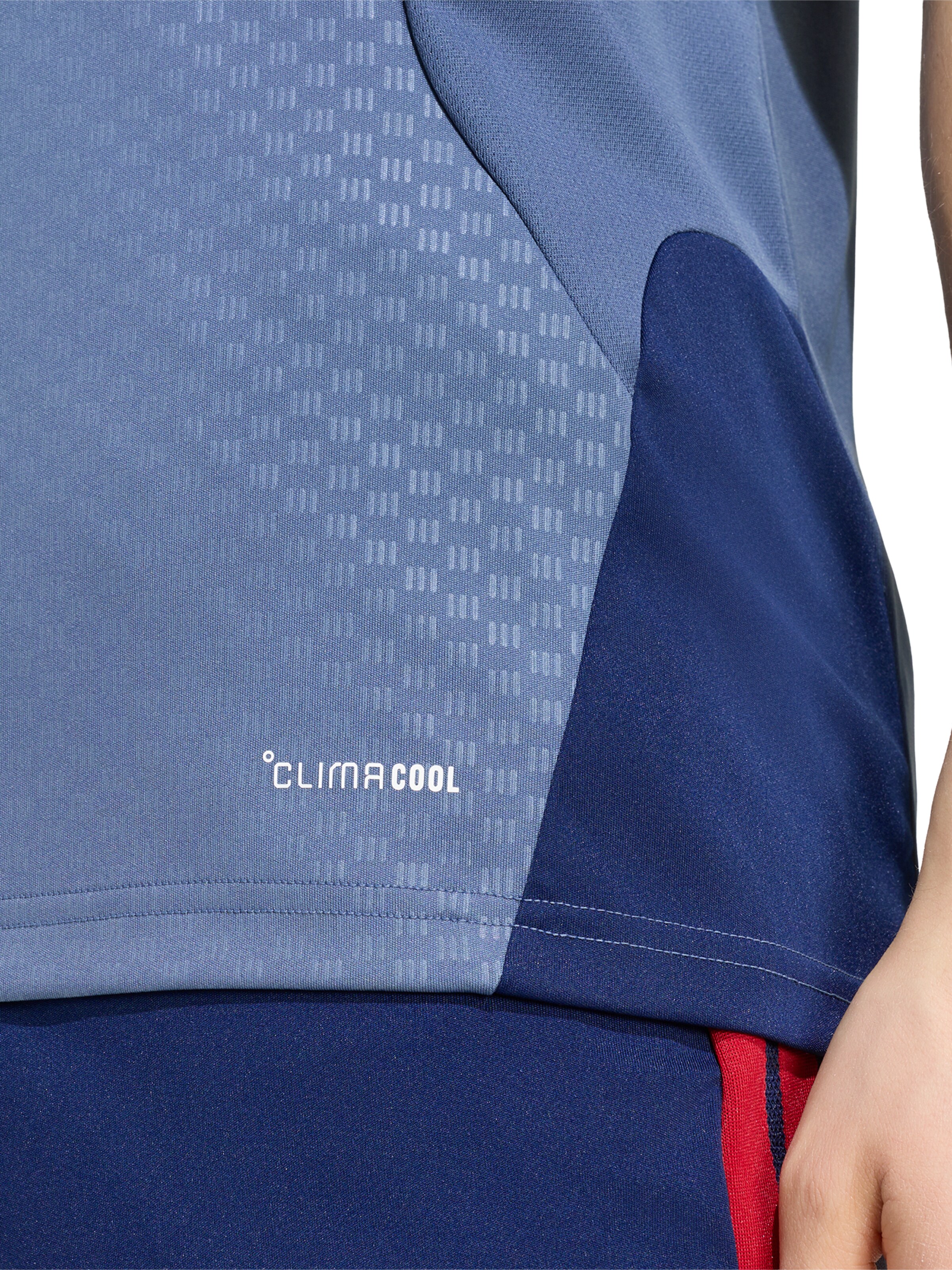ADIDAS PERFORMANCE Shirt in Blue