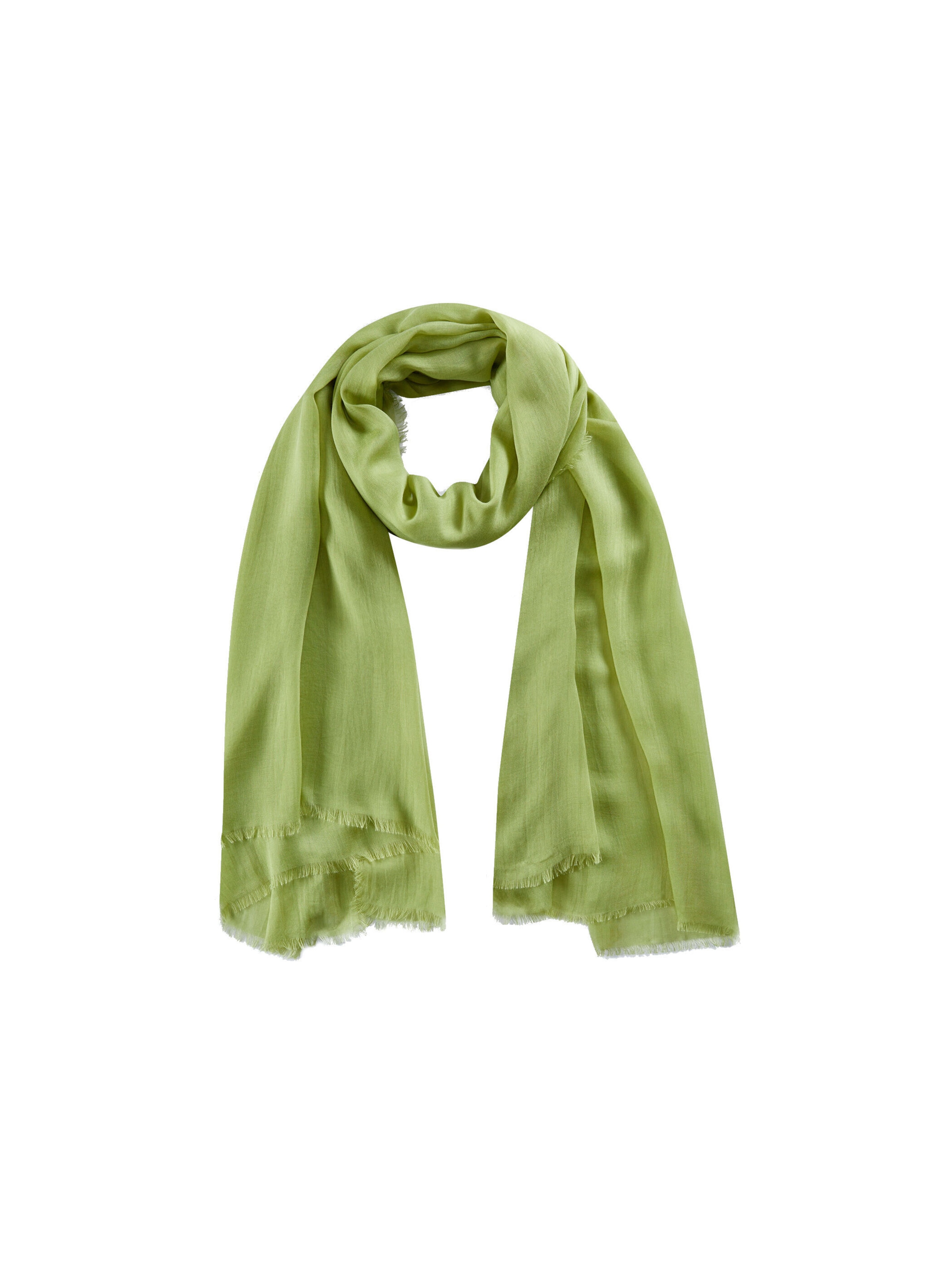 CODELLO Schal in Grün: Vorderseite