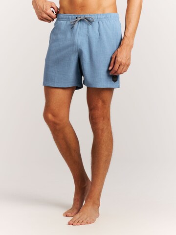 PROTEST Swimming shorts 'Davey' in Blue