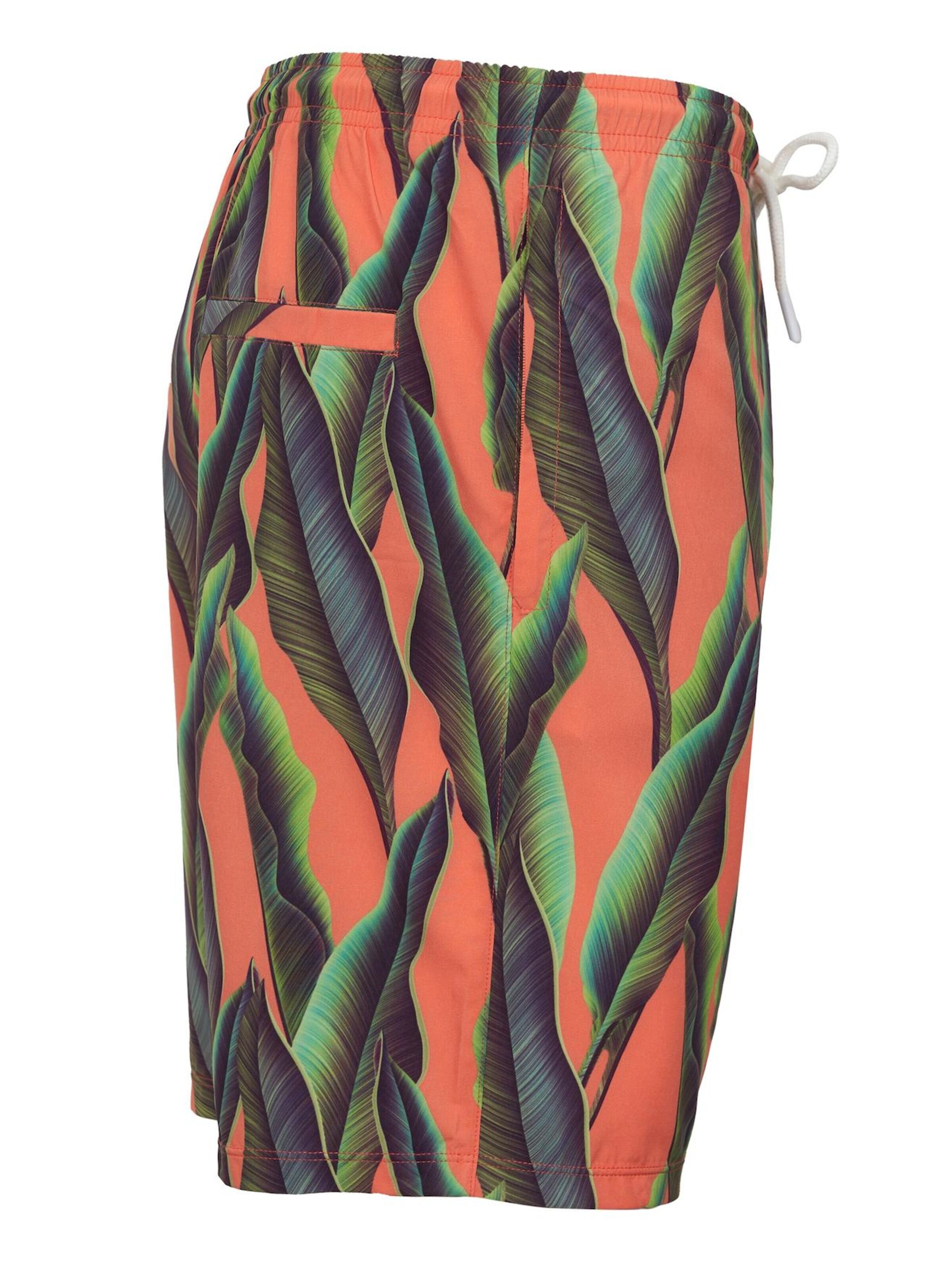 La V Zwemshorts in Oranje