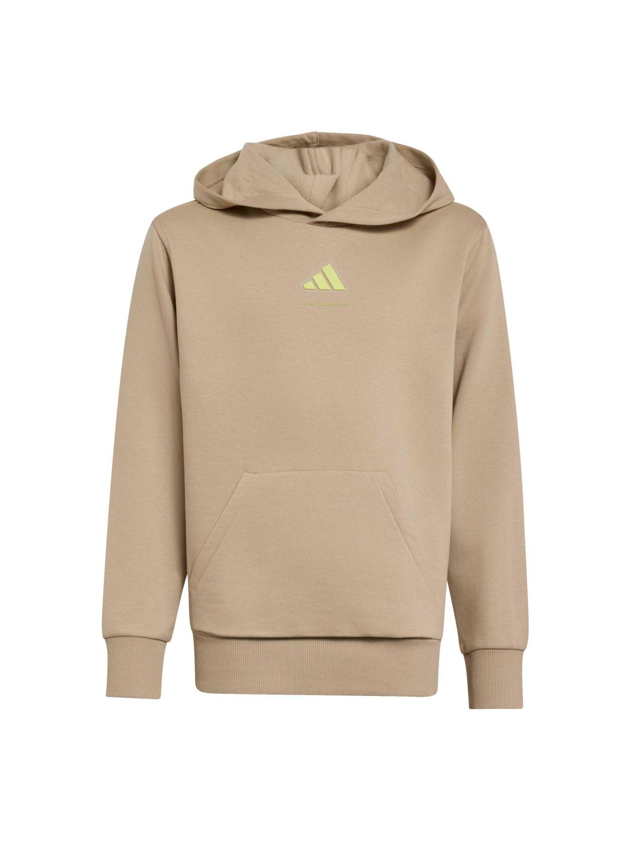 ADIDAS SPORTSWEAR Sportief sweatshirt in Groen: voorkant