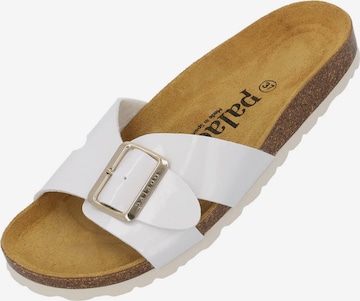 Palado Pistokkaat 'Tinos' värissä valkoinen: etupuoli